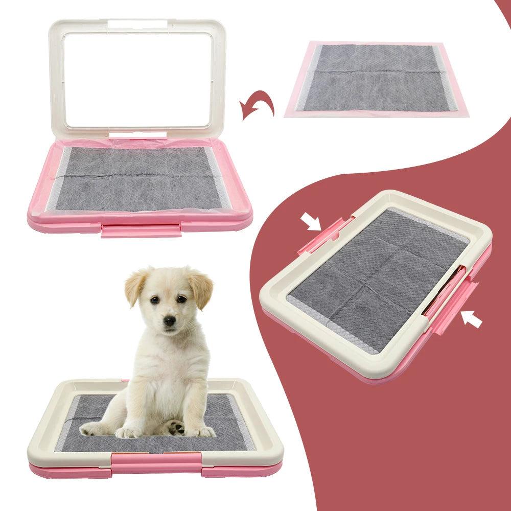 Litiere petit chien
