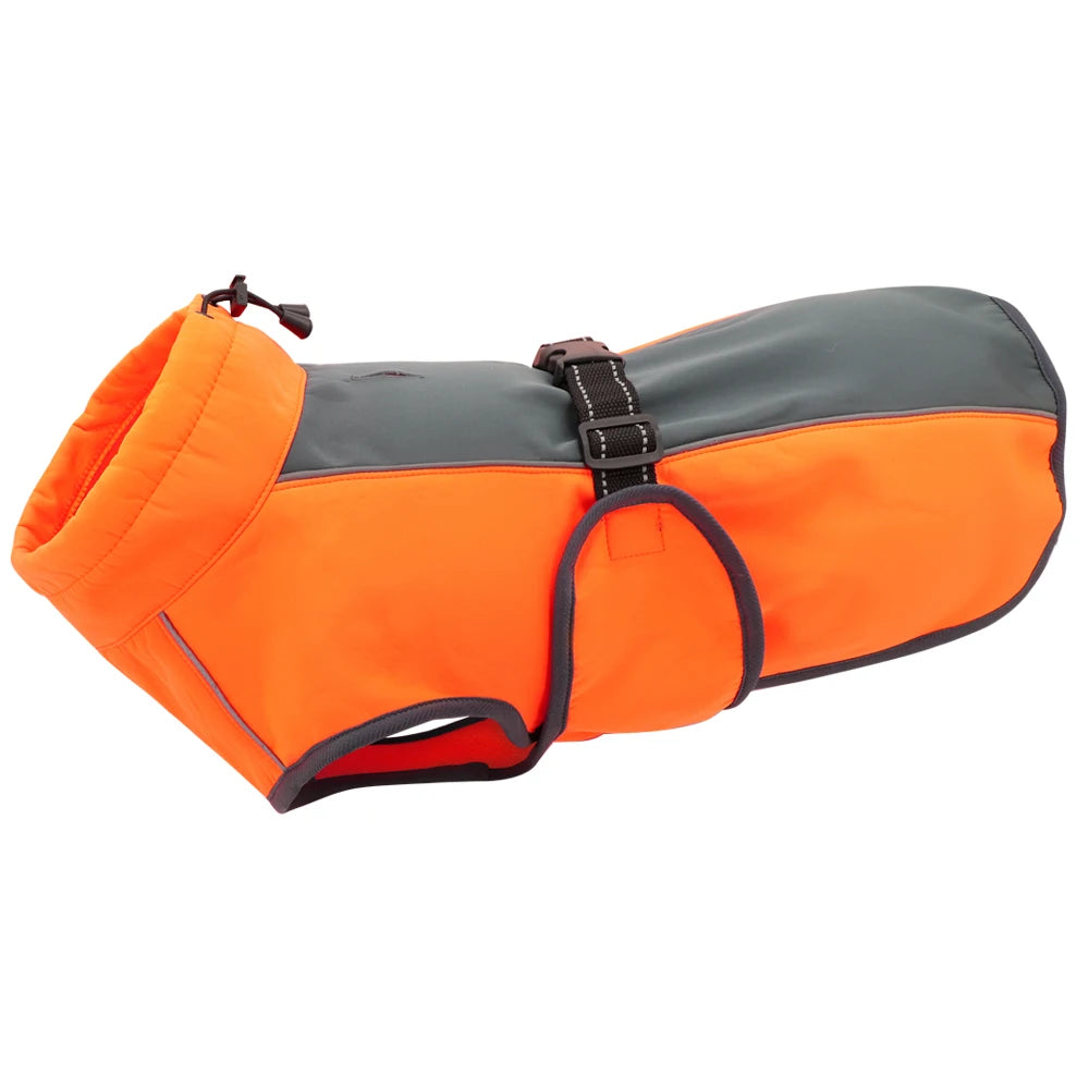 Veste de chasse pour chien