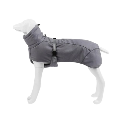 Manteau grand chien