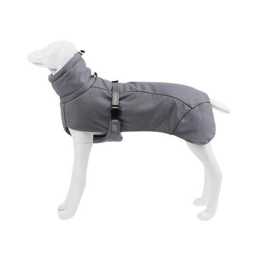 Manteau grand chien