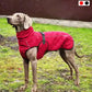 Manteau chien hiver