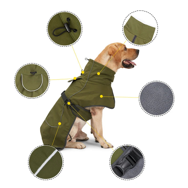 Manteau chien militaire