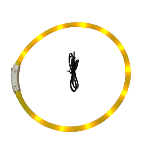 Collier chien lumineux noël
