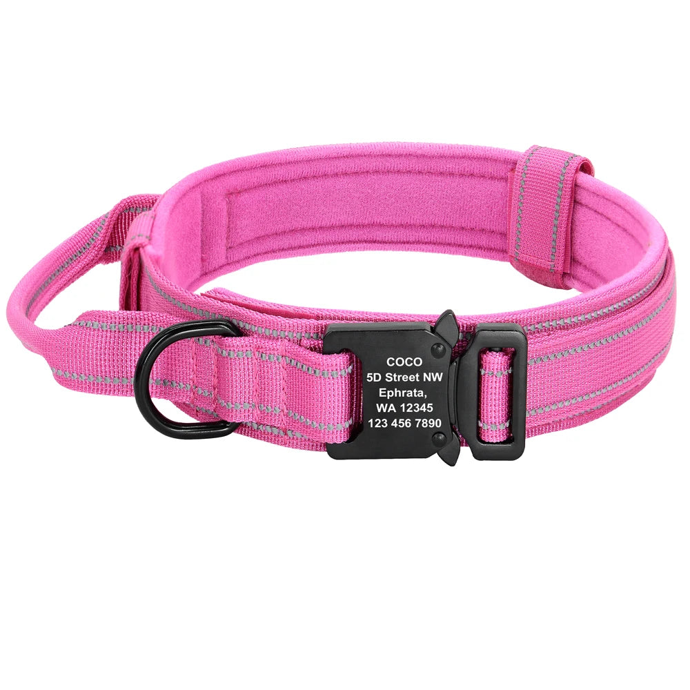 Collier de chasse gravé pour chien