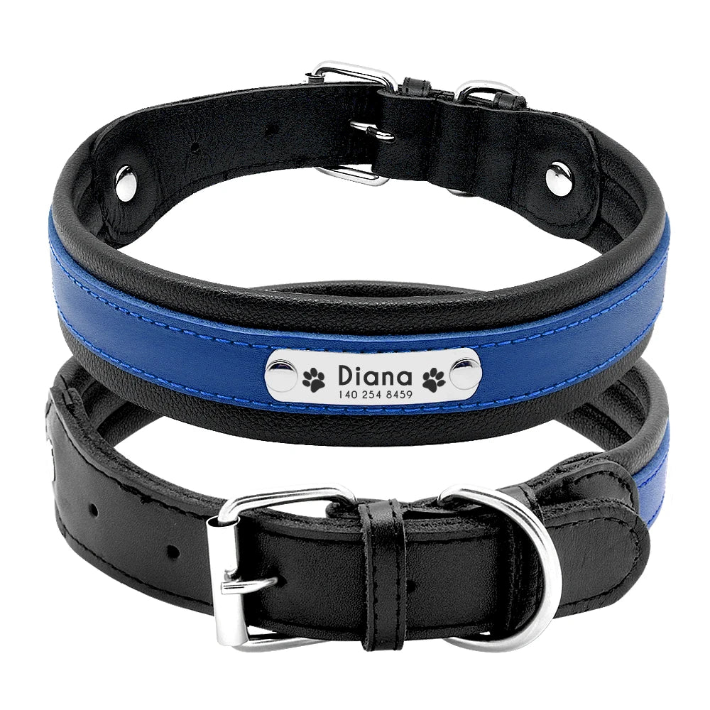 Collier chien personnalisé prénom
