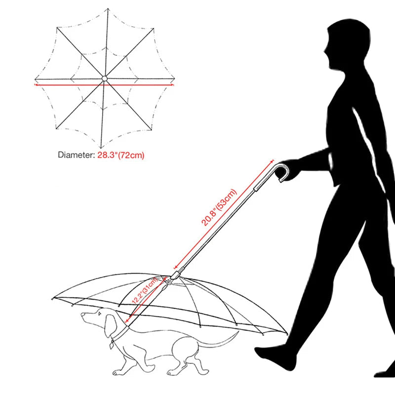 Laisse parapluie pour chien