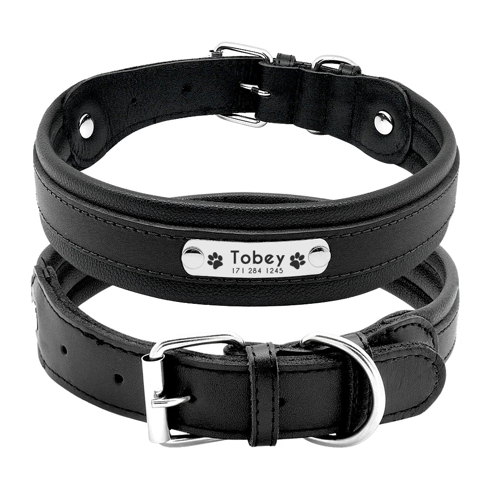 Collier chien personnalisé prénom