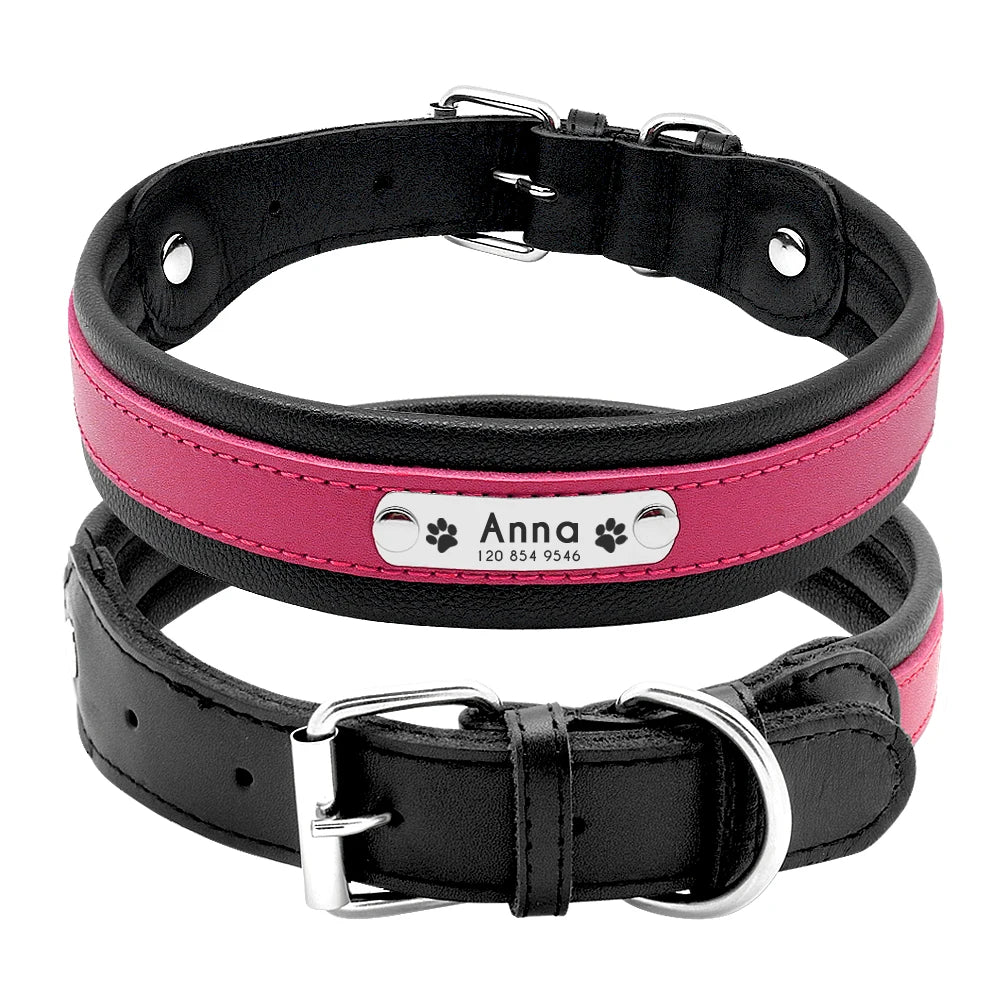 Collier chien personnalisé prénom