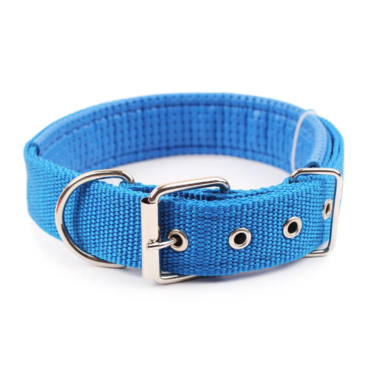 Collier bleu chien