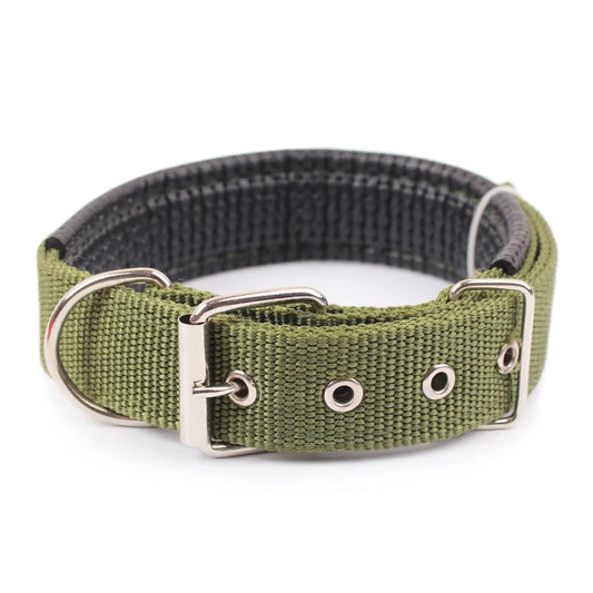 Collier chien vert