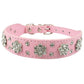 Collier chiot rose