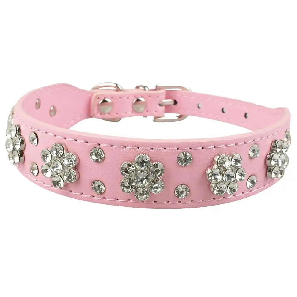 Collier chiot rose