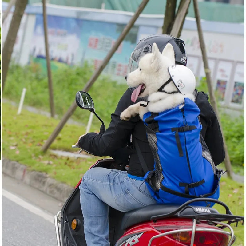 Sac à dos chien moto