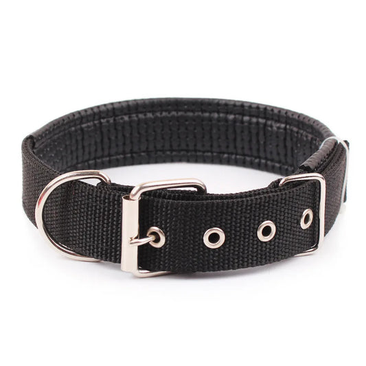 Collier chien nylon