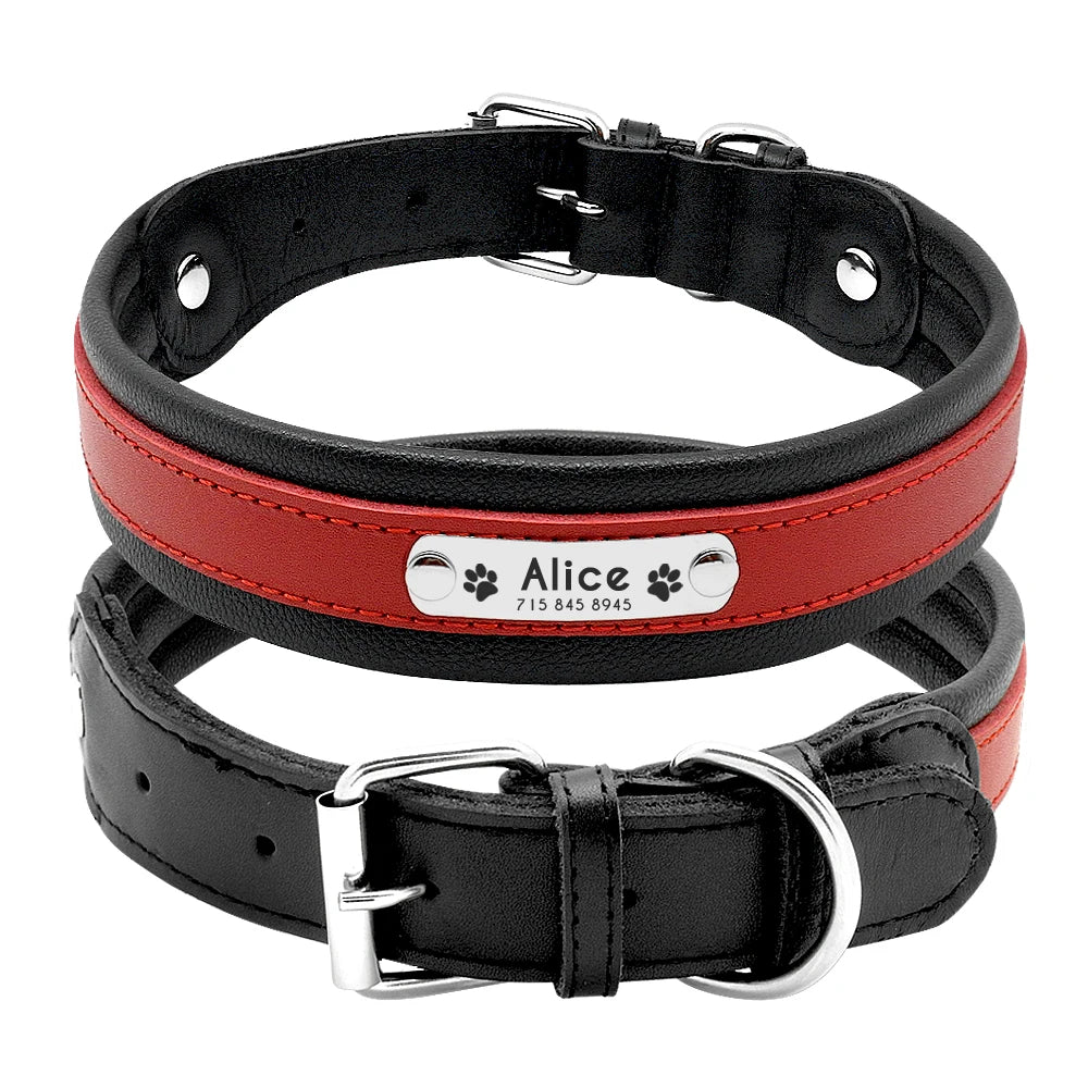 Collier chien personnalisé prénom