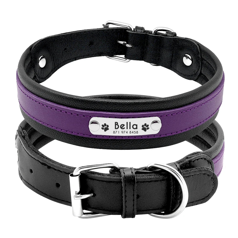 Collier chien personnalisé prénom