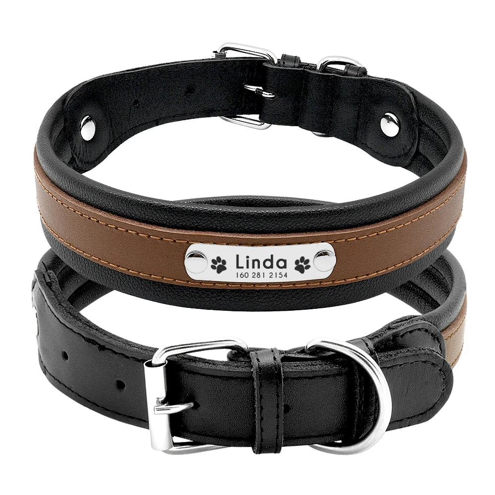 Collier chien personnalisé prénom