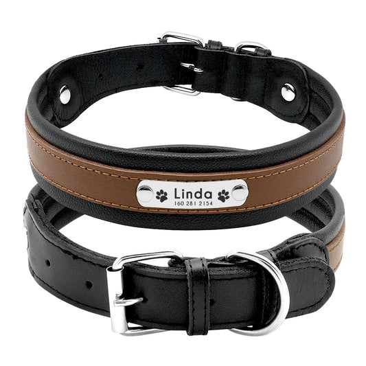 Collier chien personnalisé prénom