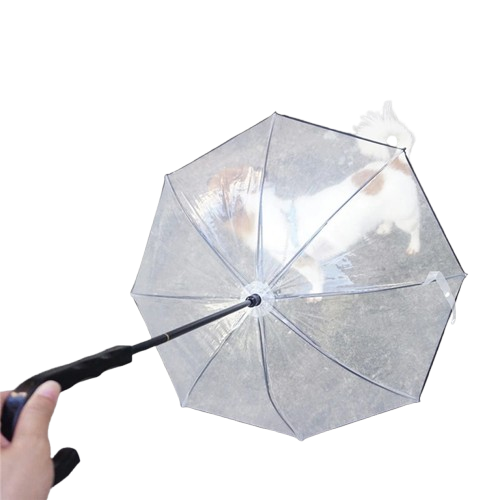 Laisse parapluie pour chien