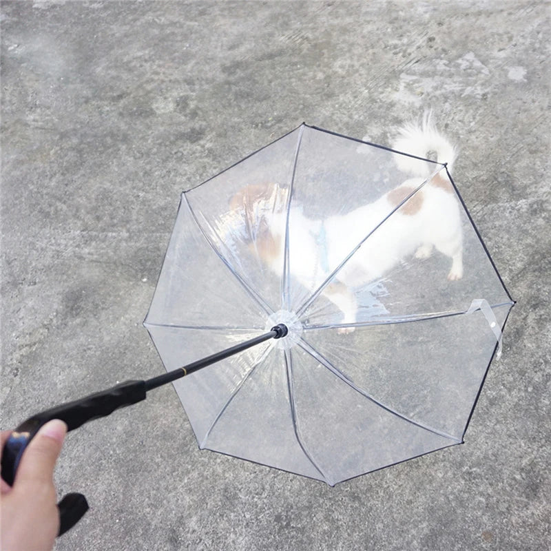 Laisse parapluie pour chien