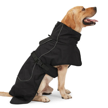 Manteau chien militaire