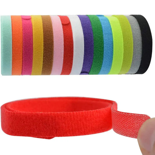 Collier identification chiot