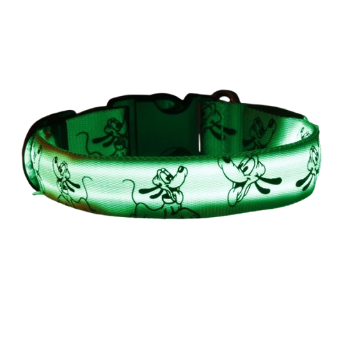 Collier led pour chien