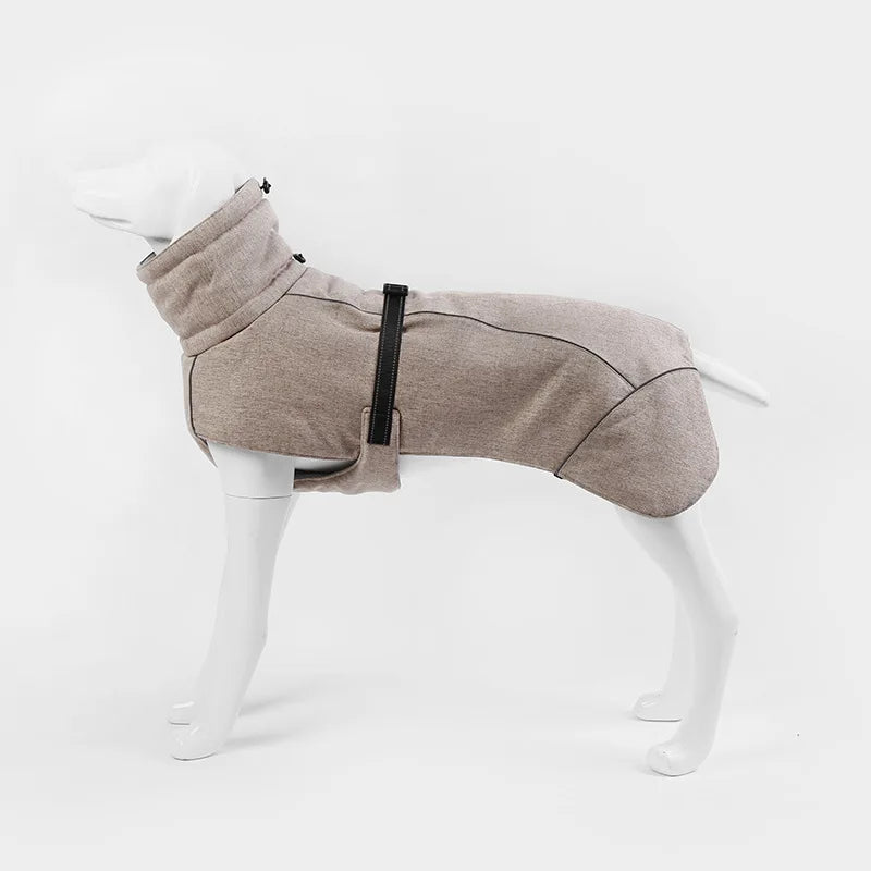 Manteau grand chien