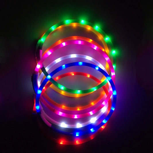 Collier chien lumineux noël