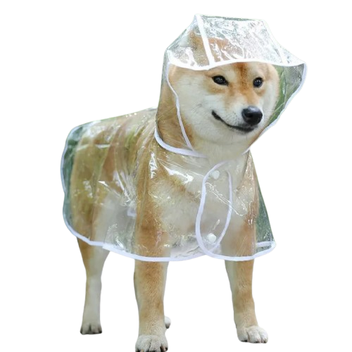 Veste de pluie pour chien