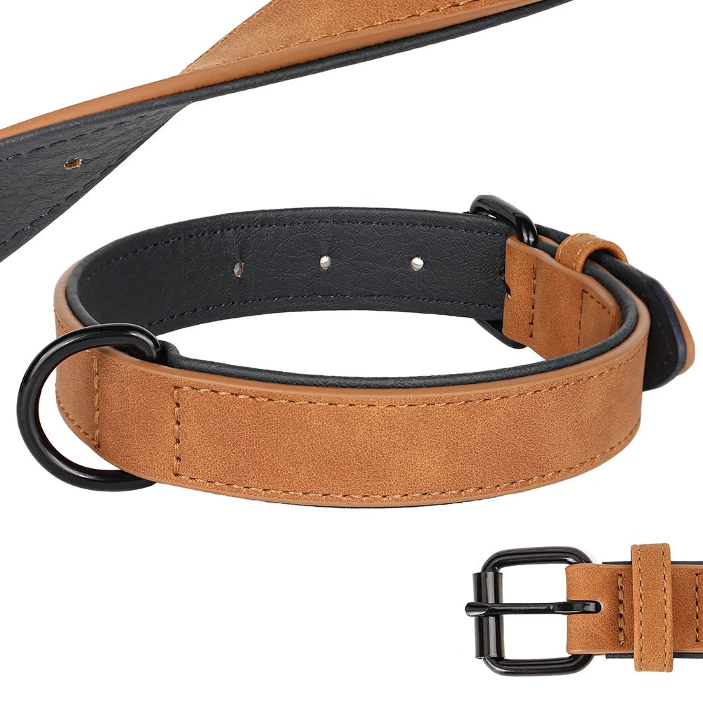 Collier cuir gros chien