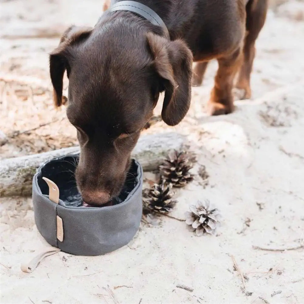 Gamelle pliable pour petit chien