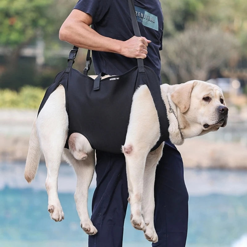 Harnais de levage chien