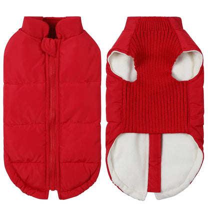 Manteau chien rouge