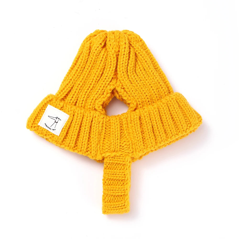Bonnet pour petit chien
