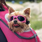 Lunette de vue pour chien