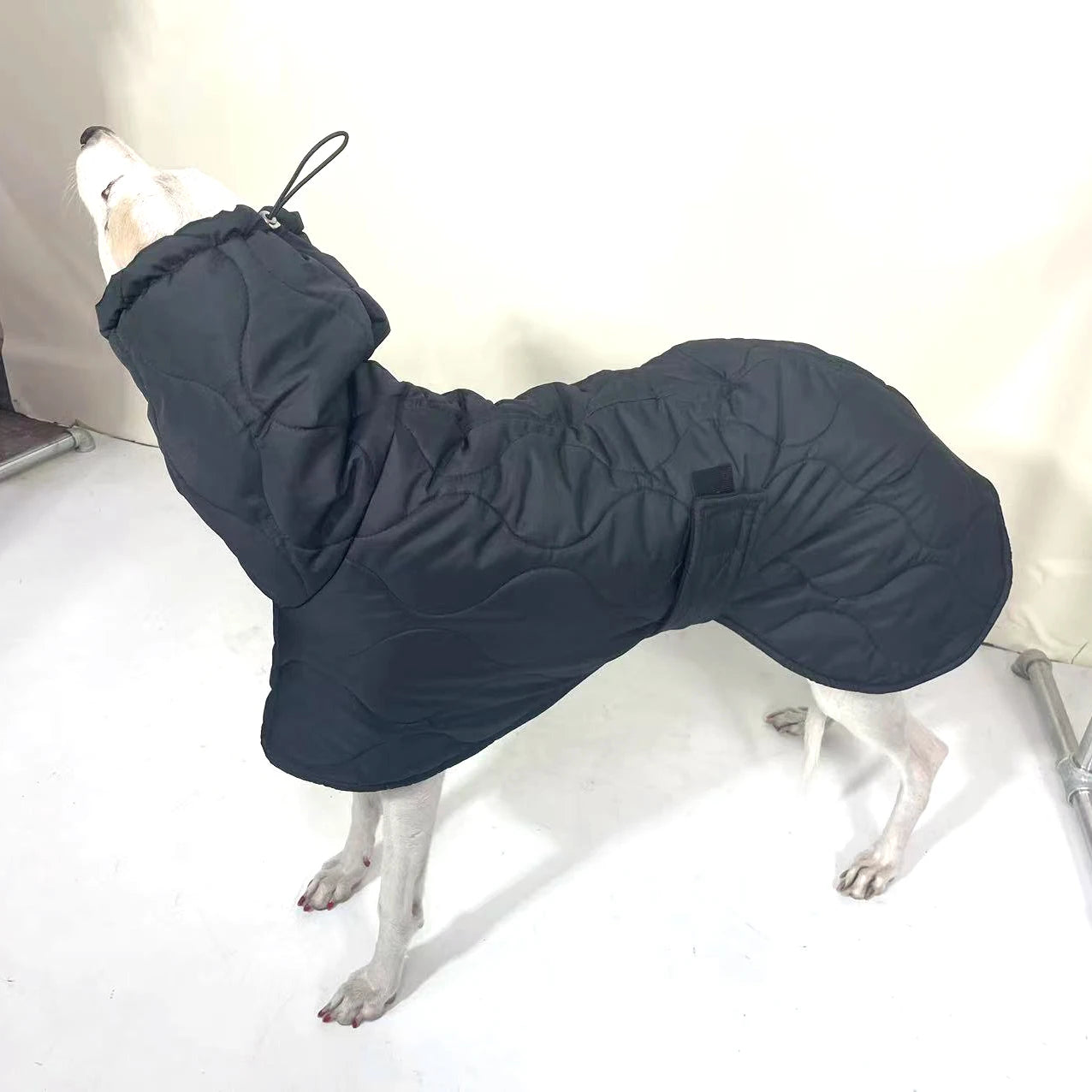 Manteau chaud pour chien