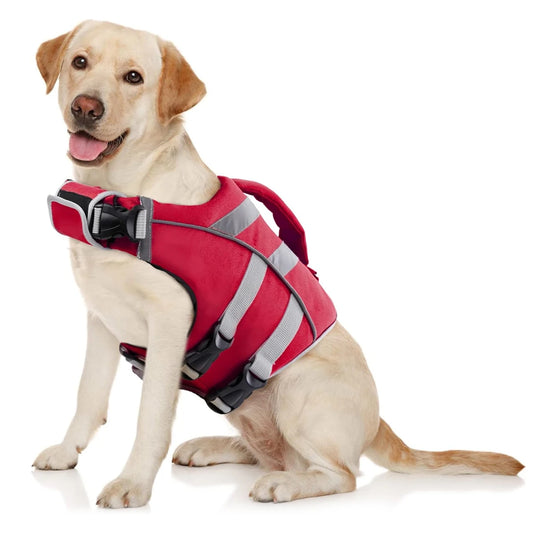 Veste de flottaison pour chien
