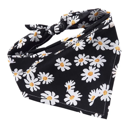 Bandana chien berger australien