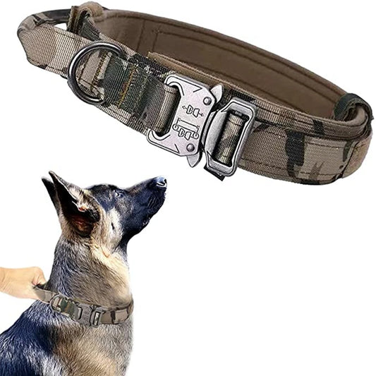 Collier chien militaire