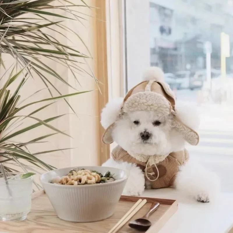 Bonnet chien neige