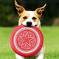 Frisbee flexible pour chien