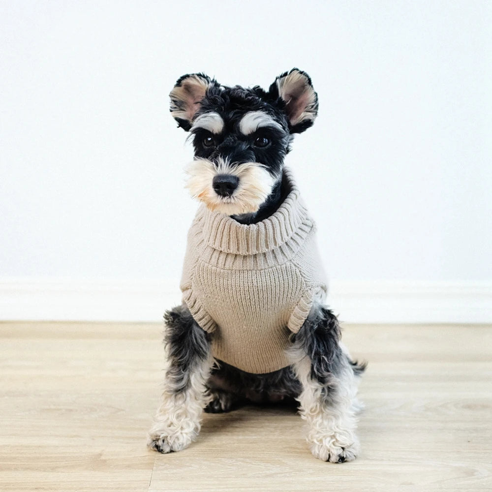 Manteau chien en laine