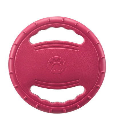 Frisbee chien plage