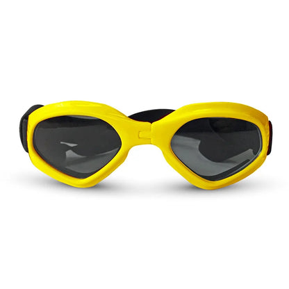 Lunette de vue pour chien