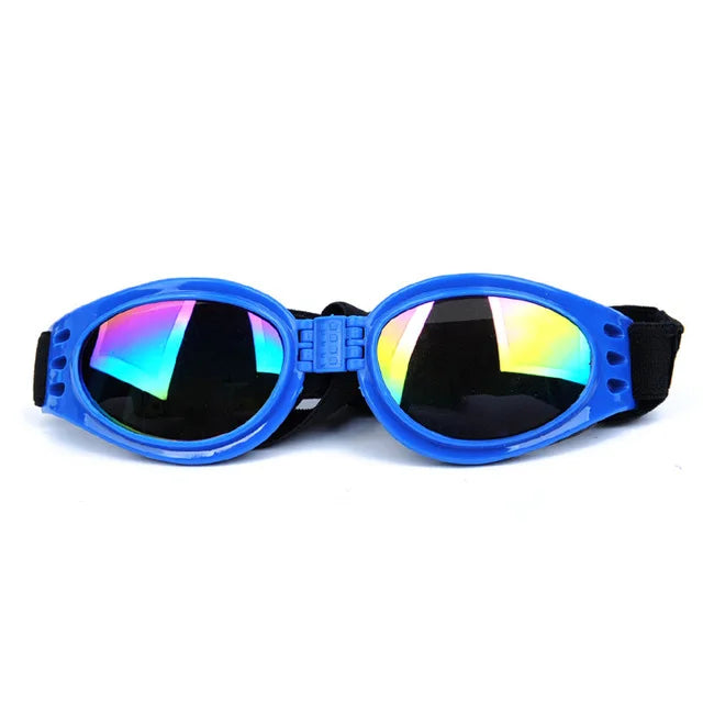 Lunette anti uv chien