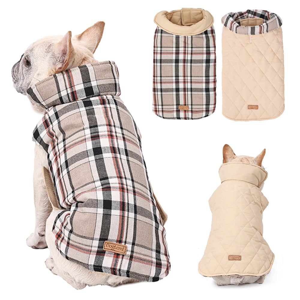 Manteau ecossais pour chien