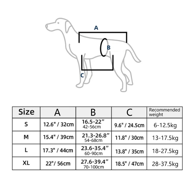 Harnais de levage chien