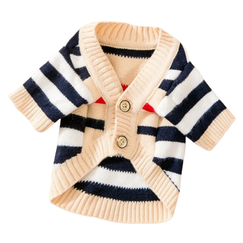 Cardigan chien