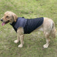 Manteau chien 50 cm